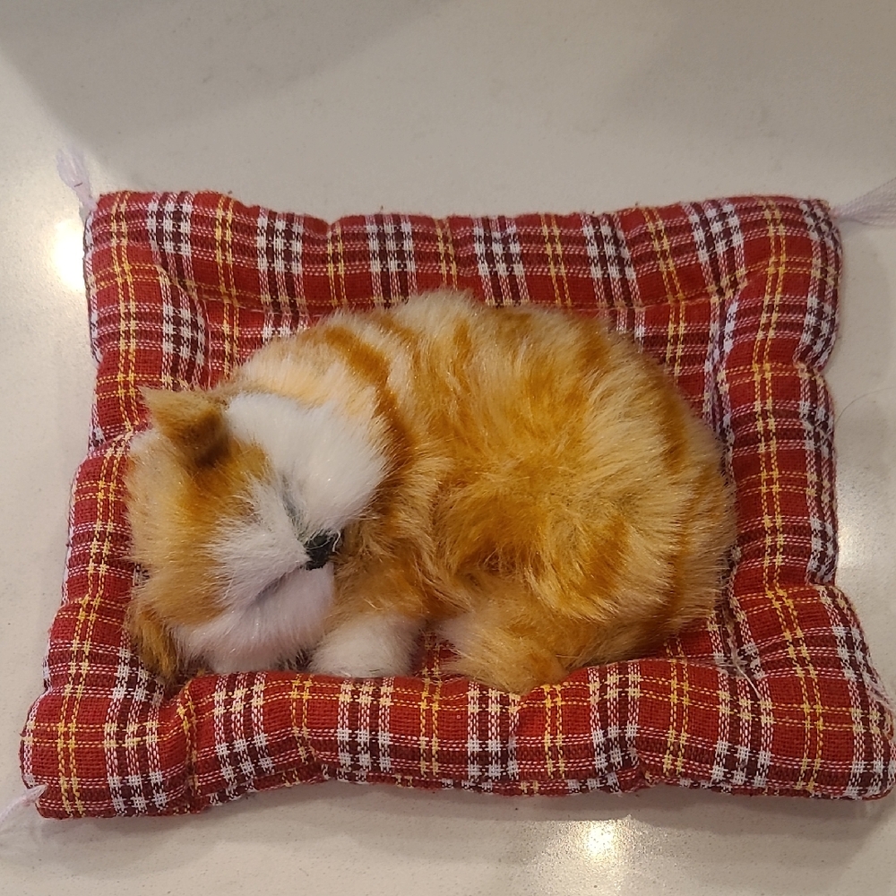 Plush Sleeping Cat on Red Plaid Cushion